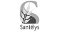 Logo Santelys 1